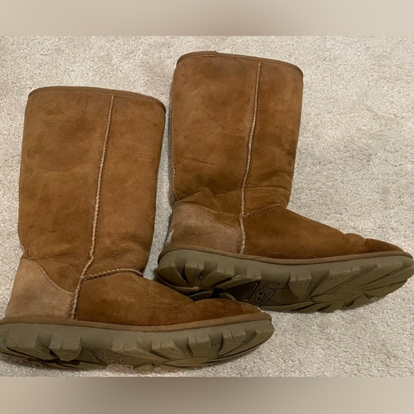 UGG Shoes Ugg Australia Classic Essential Tall Knee Highmidcalf